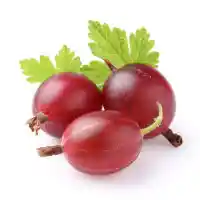 karusmari4