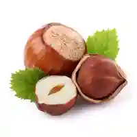 sarapuupähkel